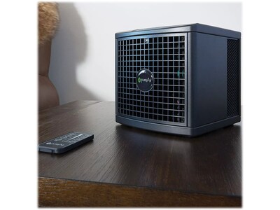 GreenTech Environmental pureAir Photocatalytic Oxidation Console Air Purifier, Black (1X1355)