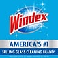 Windex Glass & More Cleaner with Ammonia-D, Unscented, 5 gal. Bag-in-Box Dispenser (696502)