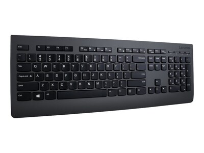 Lenovo Professional Combo Ergonomic Keyboard and Mouse, Black (4X30H56796)