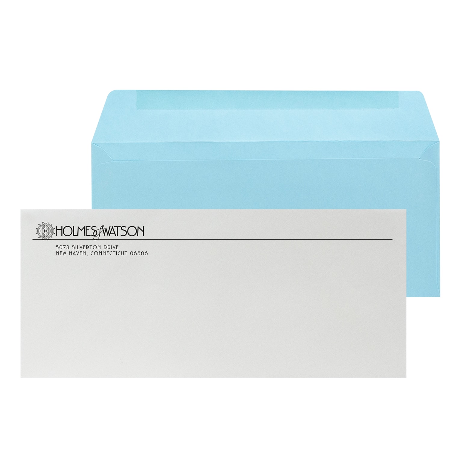 Custom Inserted Envelope Pack, #10 Regular Envelope and #9 Barcode Blue Reply Envelope, 1 Standard Ink Each, 500/Pack