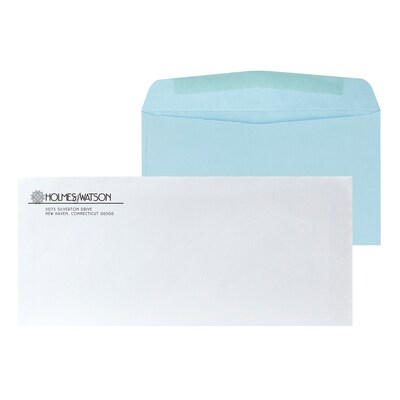 Custom Inserted Envelope Pack, #10 Regular Envelope and #6 Barcode Blue Remittance Envelope, 1 Stand