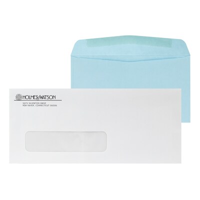 Custom Inserted Envelope Pack, #10 Window Envelope and #6 Barcode Blue Remittance Envelope, 1 Standa