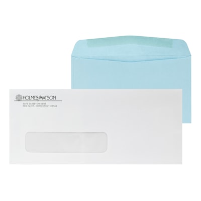 Custom Inserted Envelope Pack, #10 Window Envelope and #6 Blue Remittance Envelope, 1 Standard Ink E