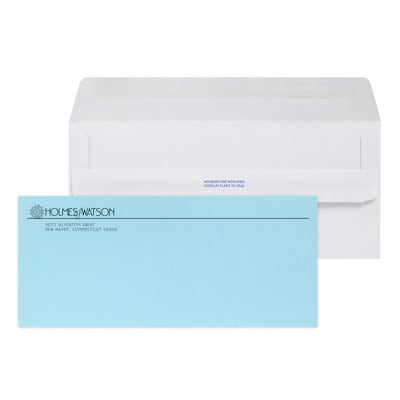 Custom Inserted Envelope Pack, #10 Self Seal Window Envelope with Lining and #9 Blue Reply Env, 1 St