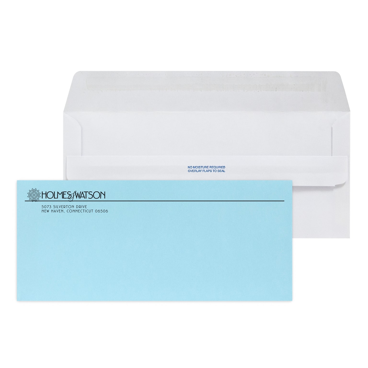 Custom Inserted Envelope Pack, #10 Self Seal Window Envelope with Lining and #9 Blue Reply Env, 1 Standard Ink Each, 500/Pack