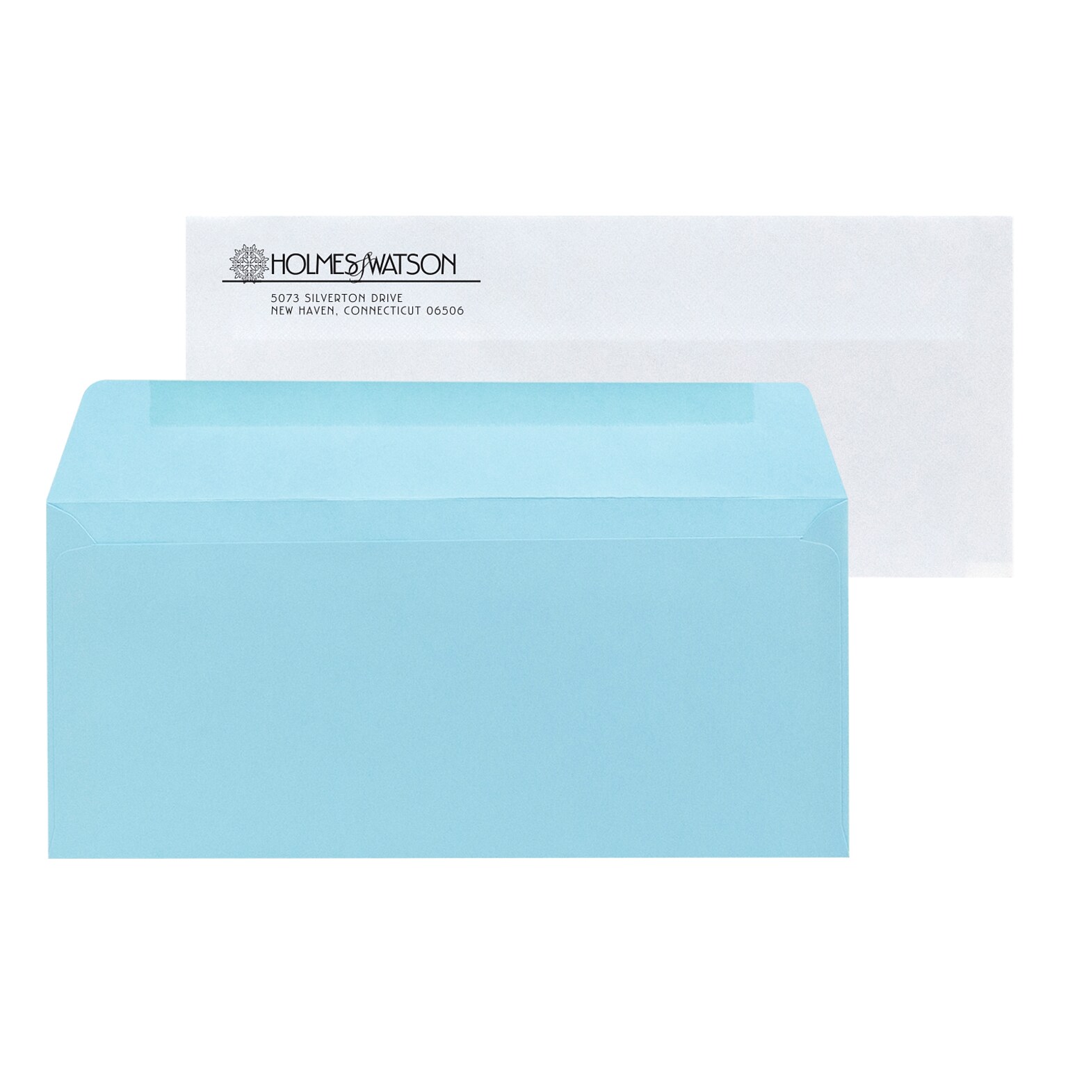 Custom Inserted Env Pack, #10 Self-Seal Regular Env with Security Tint and #9 Blue Reply Envelope, 1 Standard Ink Each, 500/Pack