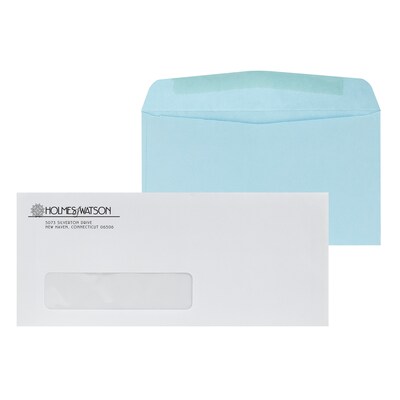 Custom Inserted Envelope Pack, #10 Peel and Seal Window Envelope and #6 Blue Remittance Envelope, 1