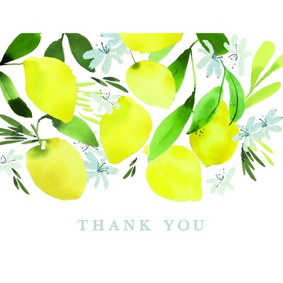 JAM PAPER Everyday Thank You Card Sets, Lemon Blossom, 20 Cards and Envelopes (52611807713)