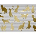 JAM PAPER Everyday Blank Note Card Sets, 3 7/8 x 5, Write it Meow, 20 Cards & Envelopes (526870200)