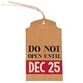 JAM PAPER Holiday 4 1/4 Do Not Open Gift Tags, 16/Pack (297525315)