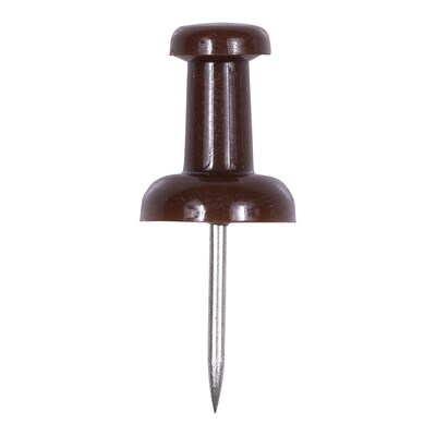 JAM Paper Push Pins, Chocolate Brown, 100/Pack (222419049)