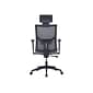 La-Z-Boy Mesh Back Molded Foam Computer and Desk Chair, Gray (51448)