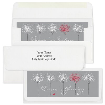 Custom 6-1/2 x 2-7/8 Seasons Greetings Currency Envelopes, Printed, Smooth, 25/Pack