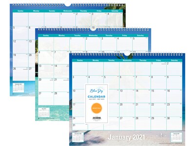 2021 Blue Sky 12 x 15 Wall Calendar, Endless Summer, Multicolor (117900-21)