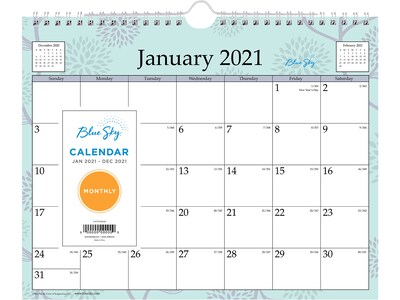 2021 Blue Sky 8 x 11 Wall Calendar, Rue Du Flore, Multicolor (101613-21)