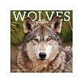 2021 TF Publishing 12 x 12 Wall Calendar, Wolves, Multicolor (21-1012)