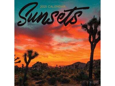 2021 TF Publishing 12 x 12 Wall Calendar, Sunsets, Multicolor (21-1095)