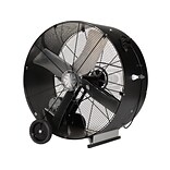 TPI Belt Drive 36 1-Speed Portable Fan, Black (07964702)