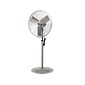 TPI 78" 2-Speed Oscillating Pedestal Fan, Gray (07964202)