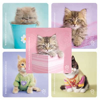 SmileMakers® Rachael Hale Cats Stickers; 2-1/2”H x 2-1/2”W, 100/Box